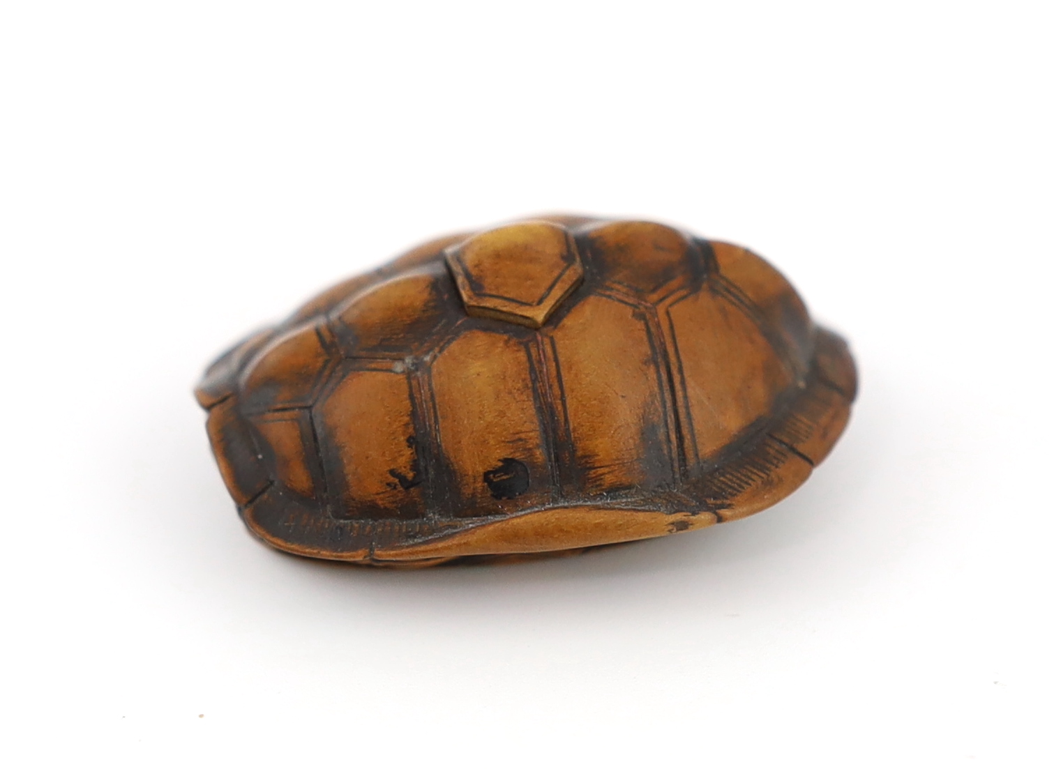 A Japanese carved wood netsuke of a turtle shell, mid 19th century